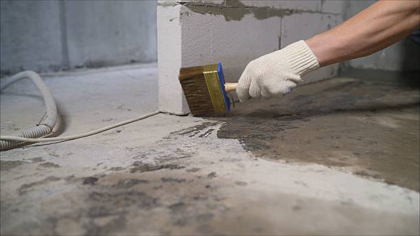 Top rated local Crawl Space Encapsulation specialists in Goddard, KS